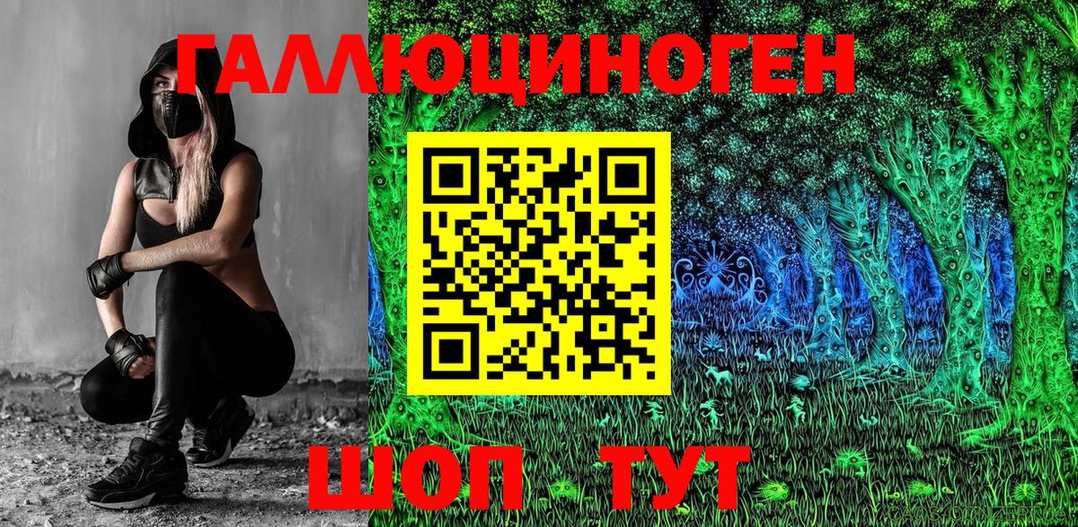 Галлюциногенные грибы Cubensis Медногорск